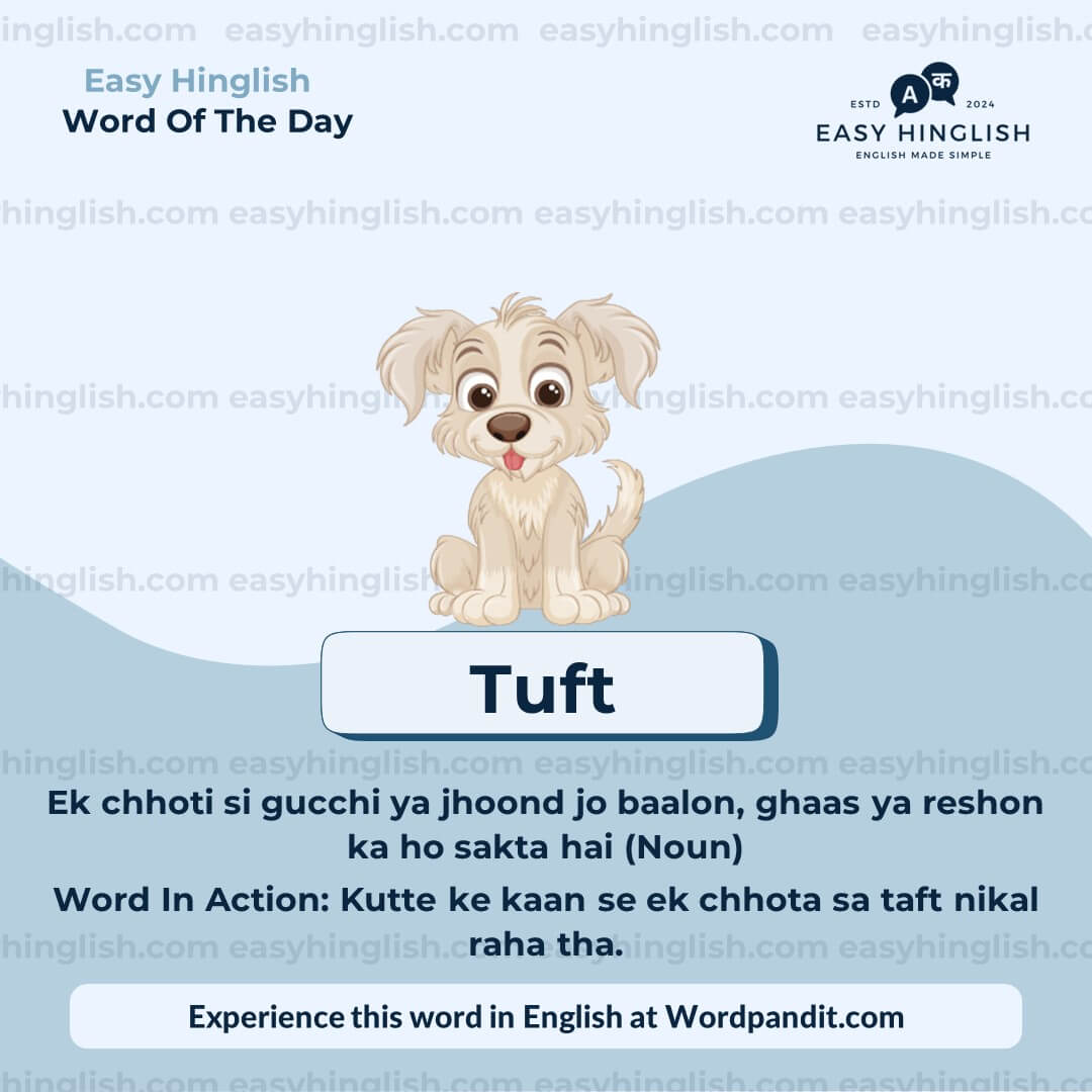 Amateurs Vocabulary Post